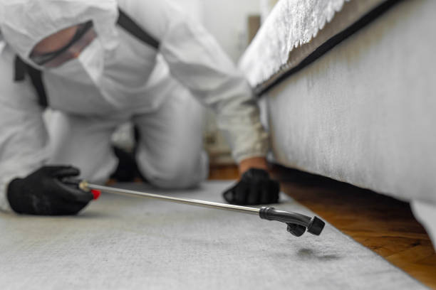 Professional Bed Bug Control technician working in South Zanesville, OH