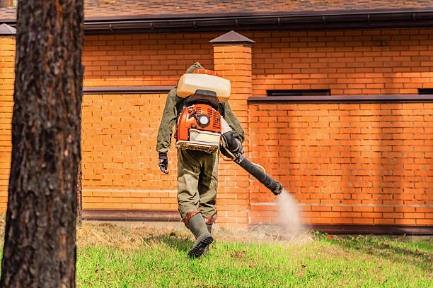 Trusted Cockroach Control service in South Zanesville, OH - Nex Pest Control